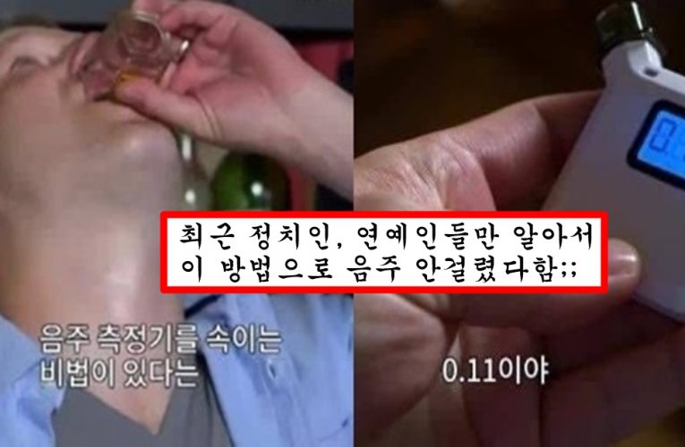 미국 정부에서 숨기고 있었는데 미국 예능에서 다 폭로해버린 음주 거하게 하고도 음주운전 안걸리는 방법