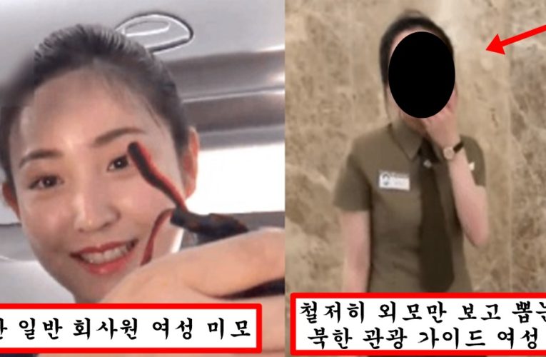 “남남북녀 팩트” 한국 여자랑은 클라스가 다르다는 북한에서 흔히 볼 수 있는 관광 가이드들 미모
